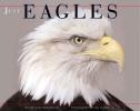 eagles