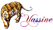 yassine+youssef+jaouad+kamal